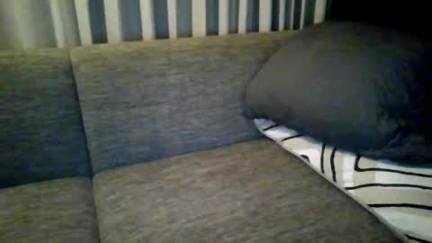 triciawu22 online show from 8, 12, 2024