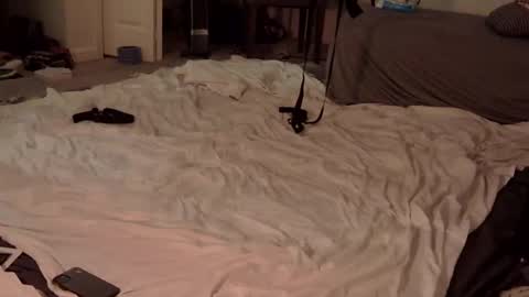 trickquestion online show from 23, 2, 2025