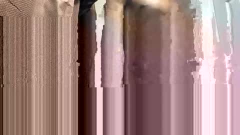 WapBopper online show from 2, 2, 2025