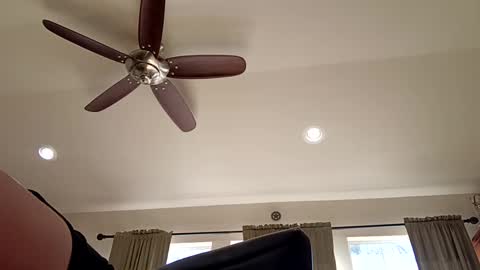 trillnonymau5 online show from 21, 12, 2024