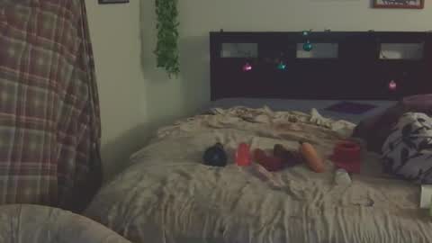 Snapshot of trinasvede chatting on 22, 3, 2026 Trina Tushy Deluxe online show from 22, 3, 2026