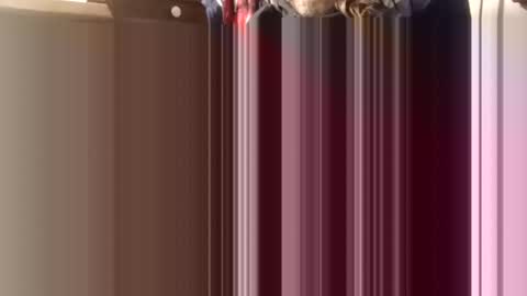 Snapshot of trypodman chatting on 11, 12, 2024 trypodman online show from 11, 12, 2024