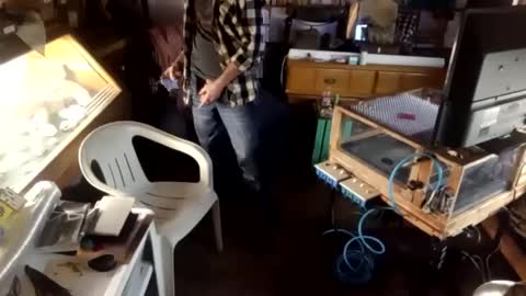 Snapshot of trypodman chatting on 23, 12, 2024 trypodman online show from 23, 12, 2024