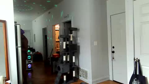 Amber White online show from 2, 2, 2025