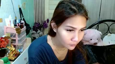 Snapshot of tsempress chatting on 29, 11, 2025 SHENA online show from 29, 11, 2025