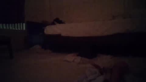 tsgoddessdani online show from 13, 5, 2026