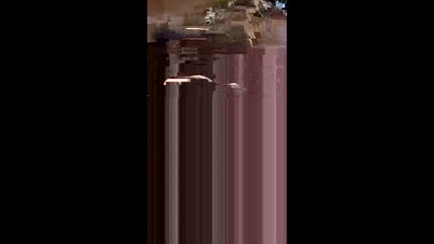 tshull0009 online show from 1, 4, 2026
