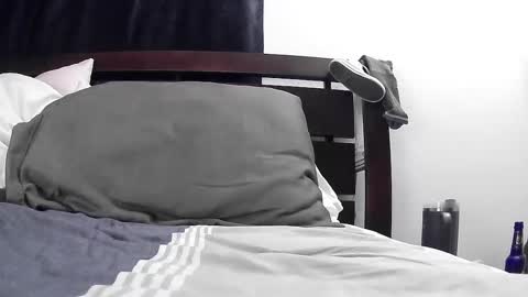 Stella online show from 16, 12, 2025