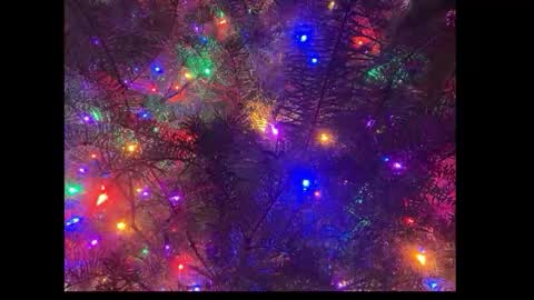 tttww33 online show from 1, 12, 2025