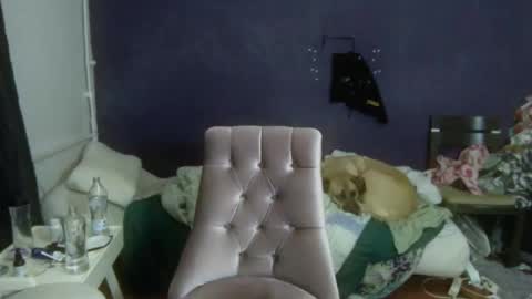 turkishtranswithsurgery online show from 20, 12, 2025