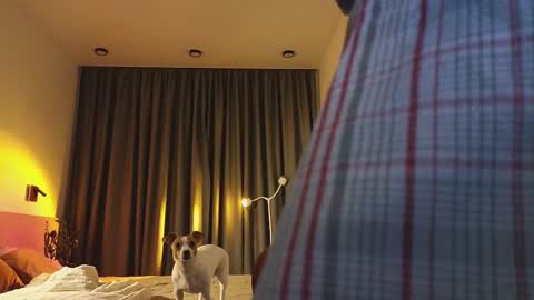 Ariana online show from 3, 12, 2025