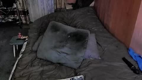 Lana online show from 6, 3, 2025