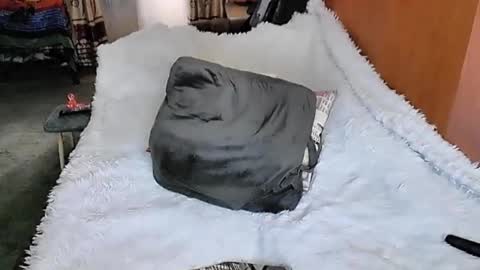 Lana online show from 11, 3, 2025