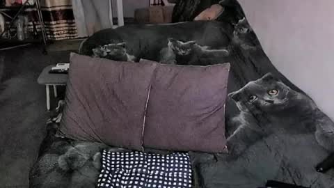 Lana online show from 20, 3, 2026