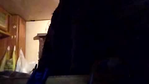 Tintilizing Excitement online show from 1, 2, 2025