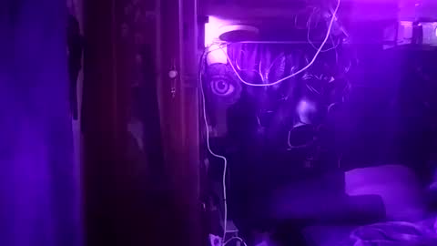 Tintilizing Excitement online show from 5, 1, 2026