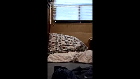 Snapshot of twp123 chatting on 10, 3, 2026 Matt online show from 10, 3, 2026