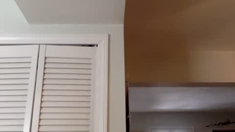 Tyler Durden online show from 13, 2, 2025