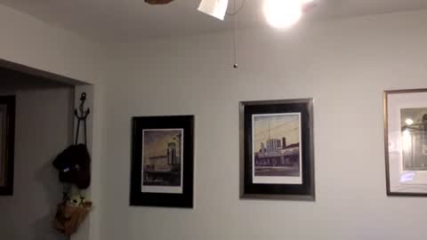 Tyler Durden online show from 14, 2, 2025