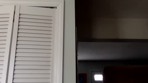 Tyler Durden online show from 2, 3, 2025