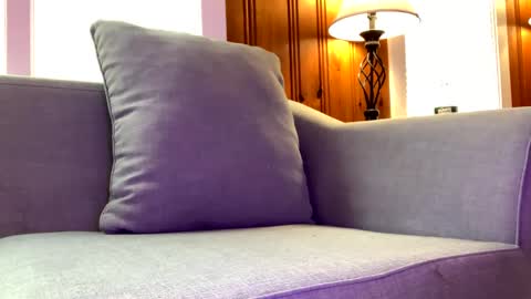 Tyler Sands online show from 7, 2, 2025