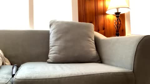 Tyler Sands online show from 22, 2, 2025