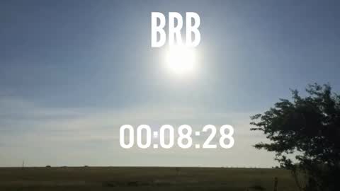 ulmo_br online show from 19, 10, 2025