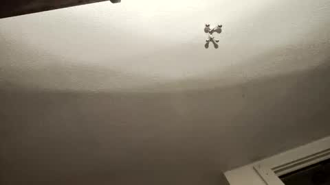 Snapshot of uncut_widda_bigbutt chatting on 3, 2, 2025 uncut_widda_bigbutt online show from 3, 2, 2025