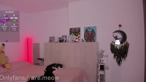    online show from 23, 12, 2025