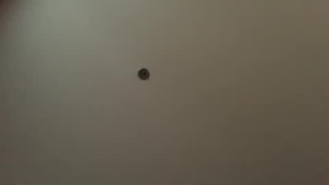 Snapshot of usefulhole chatting on 23, 9, 2025 usefulhole online show from 23, 9, 2025