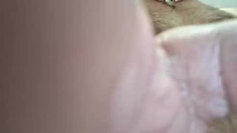 Tonight i need watchers thanks online show from 5, 3, 2026