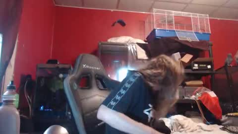 Snapshot of ustogetherliveee chatting on 12, 11, 2025 ustogetherliveee online show from 12, 11, 2025