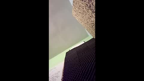 Snapshot of v3403454 chatting on 16, 12, 2025 v3403454 online show from 16, 12, 2025