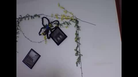 valery_honey_ online show from 2, 6, 2026