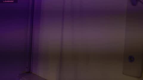 Snapshot of valloletsamar chatting on 3, 11, 2025 Vallolet Peach online show from 3, 11, 2025