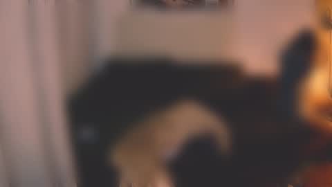 Little Devil online show from 7, 12, 2024