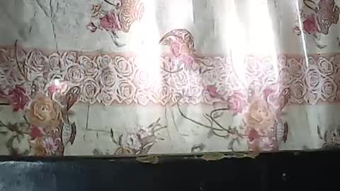 valysexyhot online show from 21, 6, 2026