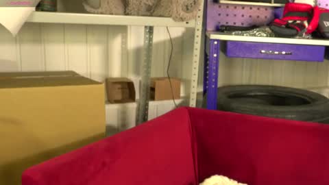 Vance online show from 26, 2, 2025