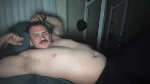 Vandal2021 online show from 15, 1, 2025