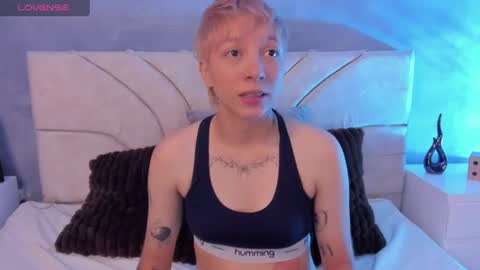 vane_grey online show from 2, 7, 2026