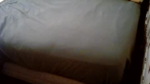 Usagi online show from 22, 12, 2025