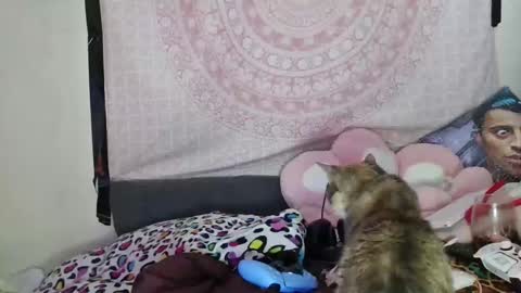 Veronica Lehane online show from 10, 12, 2024