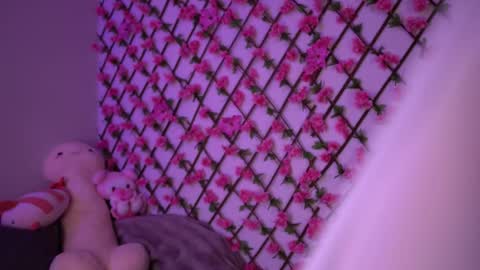 Snapshot of velvet_vice chatting on 4, 11, 2025 Polly online show from 4, 11, 2025