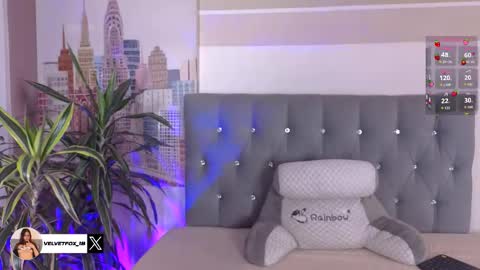 velvetfox_ online show from 8, 11, 2025