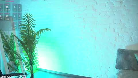 CLEOshort hair  TIna long hair  online show from 5, 2, 2025