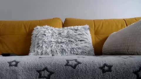 vendi1 online show from 24, 2, 2026