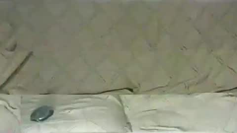 Snapshot of ventura50 chatting on 6, 3, 2025 ventura50 online show from 6, 3, 2025