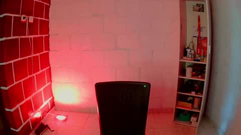 Snapshot of venus_megan chatting on 31, 12, 2024 emily independent account MY conextion 1100 GTM to 17hr GTM online show from 31, 12, 2024