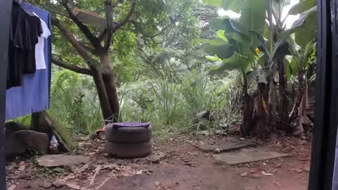 Snapshot of venusandzeus chatting on 3, 3, 2025 venus ... zeus sheer online show from 3, 3, 2025