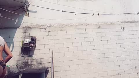 Vero Alva online show from 30, 1, 2025